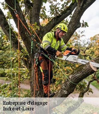 Entreprise élagage 37 Indre-et-Loire  TP Elagueur Tours 