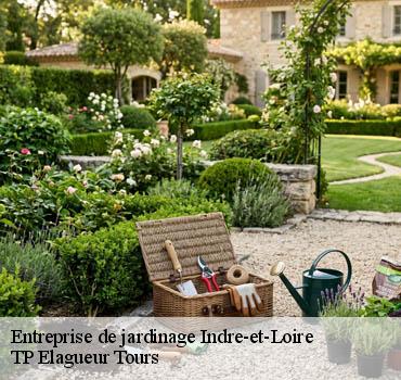 Entreprise de jardinage 37 Indre-et-Loire  TP Elagueur Tours 