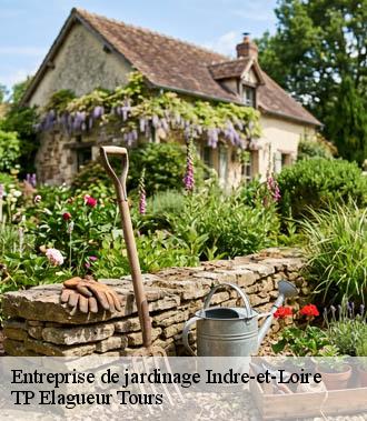 Entreprise de jardinage 37 Indre-et-Loire  TP Elagueur Tours 