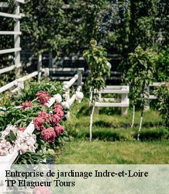 Entreprise de jardinage 37 Indre-et-Loire  TP Elagueur Tours 