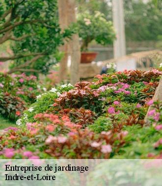 Entreprise de jardinage 37 Indre-et-Loire  TP Elagueur Tours 