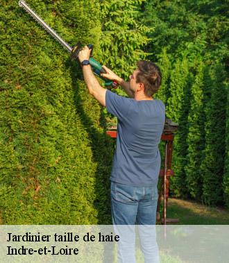 Jardinier taille de haie 37 Indre-et-Loire  TP Elagueur Tours 