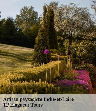 Artisan paysagiste 37 Indre-et-Loire  TP Elagueur Tours 