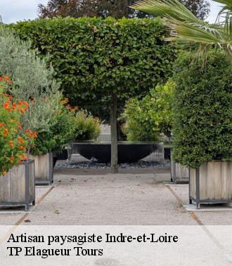 Artisan paysagiste 37 Indre-et-Loire  TP Elagueur Tours 