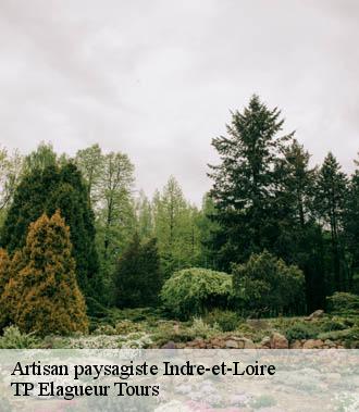 Artisan paysagiste 37 Indre-et-Loire  TP Elagueur Tours 