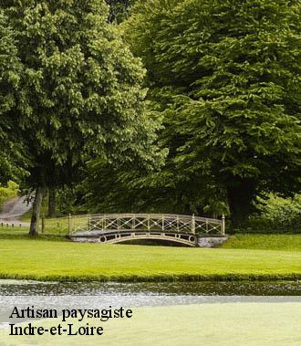 Artisan paysagiste 37 Indre-et-Loire  TP Elagueur Tours 