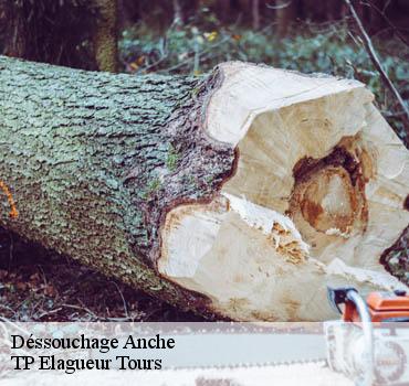 Dessouchage arbre et haie  anche-37500 TP Elagueur Tours 