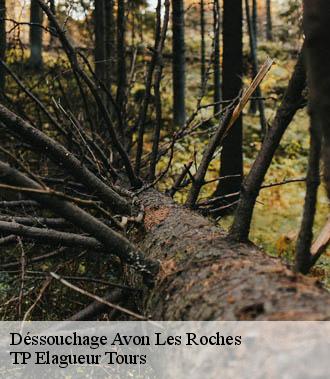 Dessouchage arbre et haie  avon-les-roches-37220 TP Elagueur Tours 