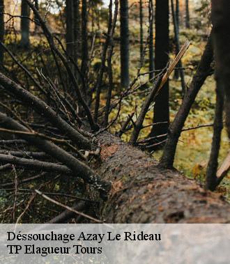 Dessouchage arbre et haie  azay-le-rideau-37190 TP Elagueur Tours 