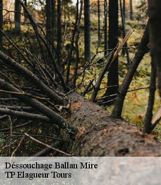 Dessouchage arbre et haie  ballan-mire-37510 TP Elagueur Tours 
