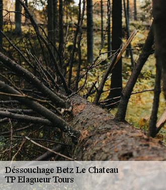 Dessouchage arbre et haie  betz-le-chateau-37600 TP Elagueur Tours 