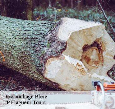 Dessouchage arbre et haie  blere-37150 TP Elagueur Tours 