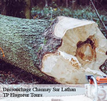 Dessouchage arbre et haie  channay-sur-lathan-37330 TP Elagueur Tours 
