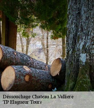 Dessouchage arbre et haie  chateau-la-valliere-37330 TP Elagueur Tours 