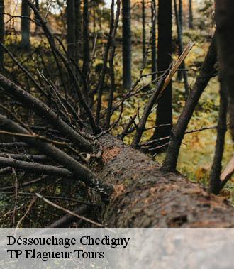 Dessouchage arbre et haie  chedigny-37310 TP Elagueur Tours 