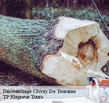 Dessouchage arbre et haie  civray-de-touraine-37150 TP Elagueur Tours 