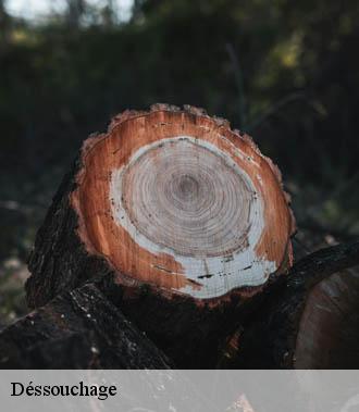 Dessouchage arbre et haie  civray-sur-esves-37160 TP Elagueur Tours 