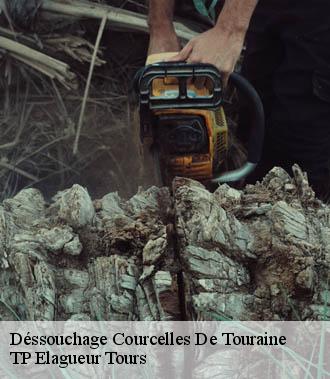 Dessouchage arbre et haie  courcelles-de-touraine-37330 TP Elagueur Tours 