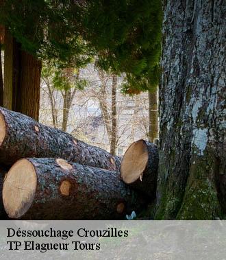Dessouchage arbre et haie  crouzilles-37220 TP Elagueur Tours 