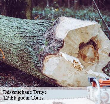 Dessouchage arbre et haie  druye-37190 TP Elagueur Tours 