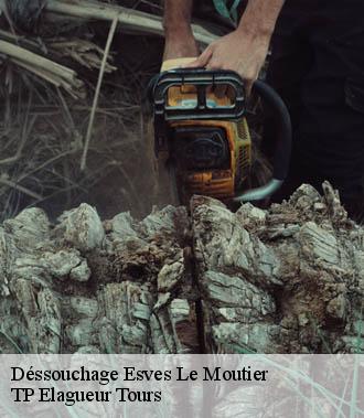 Dessouchage arbre et haie  esves-le-moutier-37240 TP Elagueur Tours 
