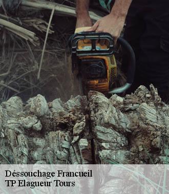 Dessouchage arbre et haie  francueil-37150 TP Elagueur Tours 