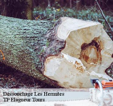 Dessouchage arbre et haie  les-hermites-37110 TP Elagueur Tours 