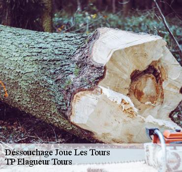 Dessouchage arbre et haie  joue-les-tours-37300 TP Elagueur Tours 