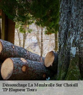 Dessouchage arbre et haie  la-membrolle-sur-choisill-37390 TP Elagueur Tours 