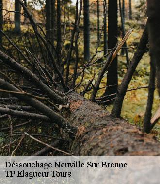 Dessouchage arbre et haie  neuville-sur-brenne-37110 TP Elagueur Tours 