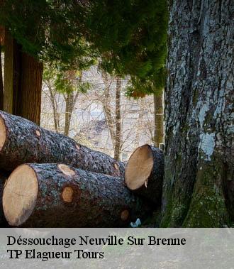 Dessouchage arbre et haie  neuville-sur-brenne-37110 TP Elagueur Tours 