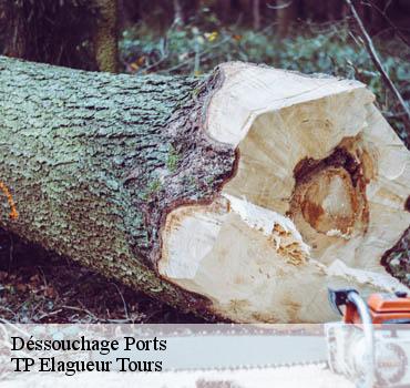 Dessouchage arbre et haie  ports-37800 TP Elagueur Tours 