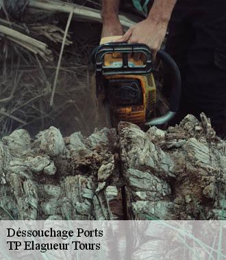 Dessouchage arbre et haie  ports-37800 TP Elagueur Tours 