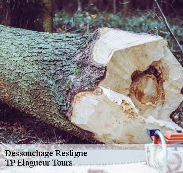 Dessouchage arbre et haie  restigne-37140 TP Elagueur Tours 