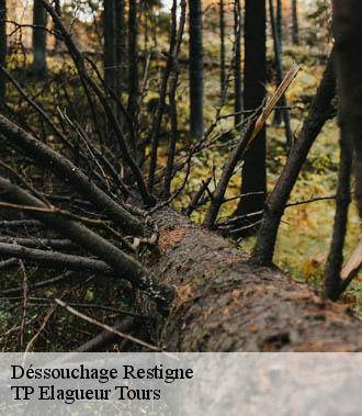 Dessouchage arbre et haie  restigne-37140 TP Elagueur Tours 