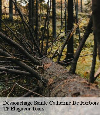 Dessouchage arbre et haie  sainte-catherine-de-fierbois-37800 TP Elagueur Tours 