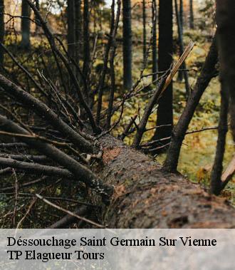 Dessouchage arbre et haie  saint-germain-sur-vienne-37500 TP Elagueur Tours 