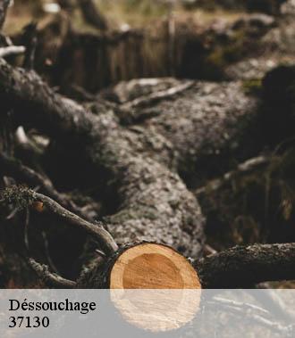 Dessouchage arbre et haie  saint-michel-sur-loire-37130 TP Elagueur Tours 