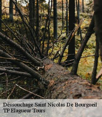 Dessouchage arbre et haie  saint-nicolas-de-bourgueil-37140 TP Elagueur Tours 