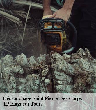 Dessouchage arbre et haie  saint-pierre-des-corps-37700 TP Elagueur Tours 