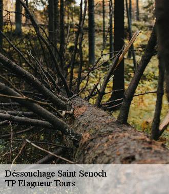 Dessouchage arbre et haie  saint-senoch-37600 TP Elagueur Tours 