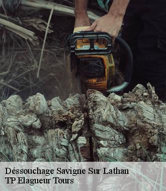 Dessouchage arbre et haie  savigne-sur-lathan-37340 TP Elagueur Tours 