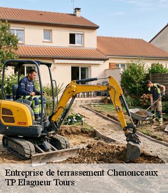 Entreprise de terrassement  chenonceaux-37150 TP Elagueur Tours 