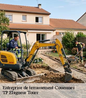 Entreprise de terrassement  couesmes-37330 TP Elagueur Tours 
