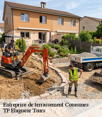 Entreprise de terrassement  couesmes-37330 TP Elagueur Tours 