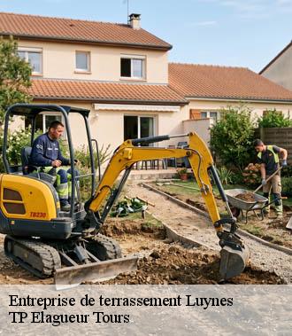 Entreprise de terrassement  luynes-37230 TP Elagueur Tours 