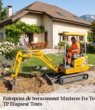 Entreprise de terrassement  mazieres-de-touraine-37130 TP Elagueur Tours 