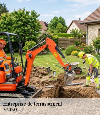 Entreprise de terrassement  savigny-en-veron-37420 TP Elagueur Tours 