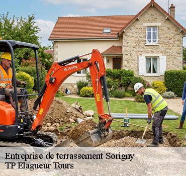 Entreprise de terrassement  sorigny-37250 TP Elagueur Tours 