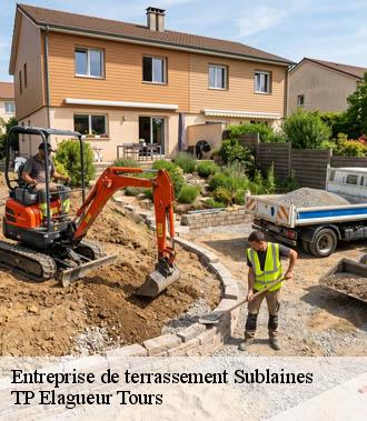 Entreprise de terrassement  sublaines-37310 TP Elagueur Tours 